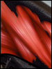 airbrush auf buell